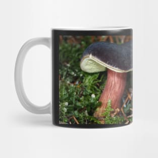 Young Zeller's Bolete mushroom Mug